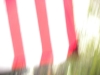 dscn7483